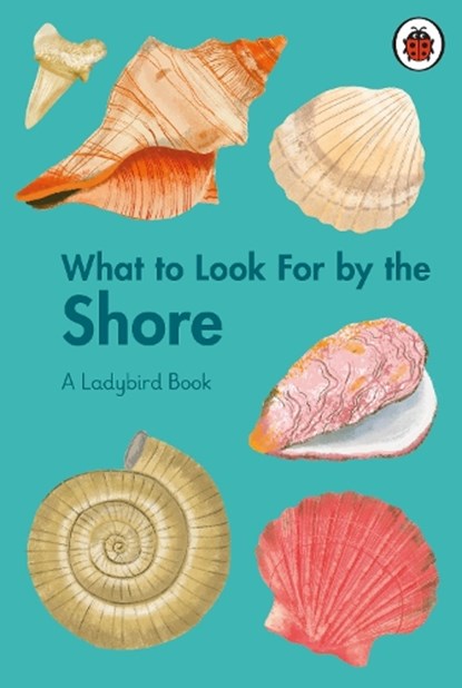 What to Look For by the Shore, Becky Brown - Gebonden - 9780241626139