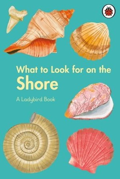 What to Look For by the Shore, Becky Brown - Ebook - 9780241626153