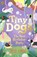 Tiny Dogs: The Best Birthday Party, Rose Lihou - Paperback - 9780241631218