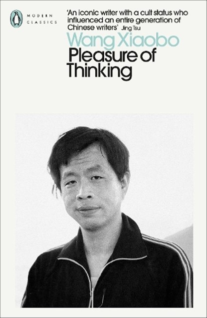 Pleasure of Thinking, Wang Xiaobo - Paperback - 9780241633267