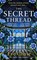 The Secret Thread, Eve Chase - Gebonden - 9780241633946