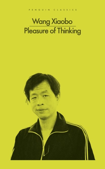 Pleasure of Thinking, XIAOBO,  Wang - Paperback - 9780241648520