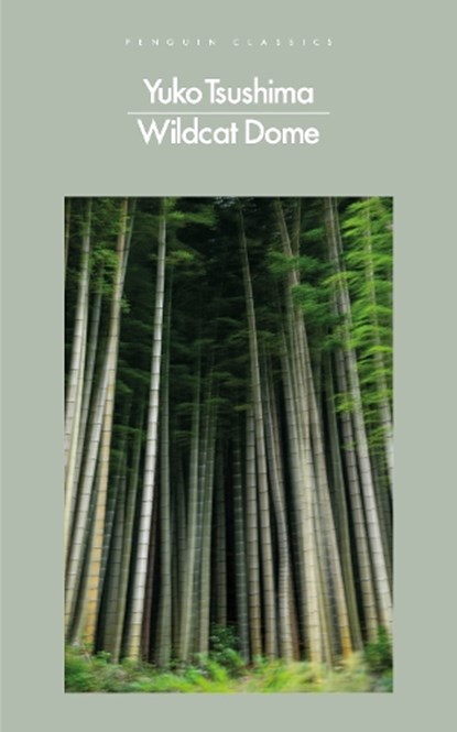 Wildcat Dome, Yuko Tsushima - Paperback - 9780241649466