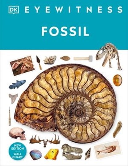 Fossil, Dr Paul David Taylor - Ebook - 9780241681763