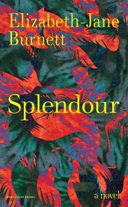 Splendour, Elizabeth-Jane Burnett - Gebonden - 9780241702000
