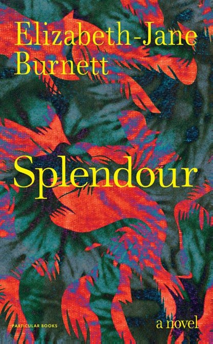 Splendour, Elizabeth-Jane Burnett - Gebonden - 9780241702000