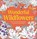 Wonderful Wildflowers Colouring Book, DK - Paperback - 9780241805527