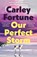 Our Perfect Storm, Carley Fortune - Gebonden - 9780241813782