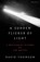 A Sudden Flicker of Light, David Thomson - Gebonden - 9780241843345