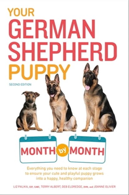 Your German Shepherd Puppy Month by Month, 2nd Edition, Liz Palika ; Terry Albert ; Debra Eldredge DVM ; Joanne Olivier - Ebook - 9780241888124