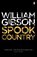 Spook Country, William Gibson - Paperback - 9780241953549
