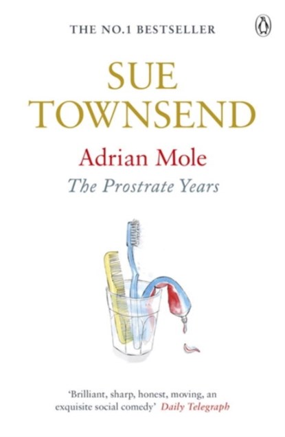 Adrian Mole: The Prostrate Years, Sue Townsend - Paperback - 9780241959497