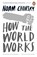 How the World Works, Noam Chomsky - Paperback - 9780241961148