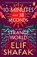 10 Minutes 38 Seconds in this Strange World, Elif Shafak - Paperback - 9780241979464