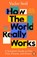 How the World Really Works, SMIL,  Vaclav - Paperback - 9780241989678