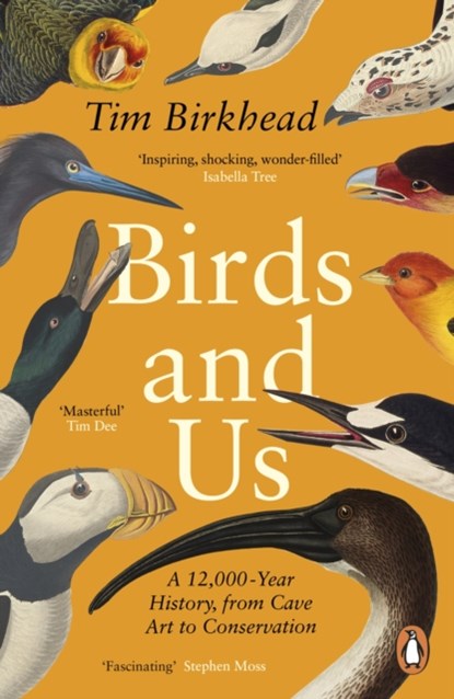 Birds and Us, BIRKHEAD,  Tim - Paperback - 9780241990131