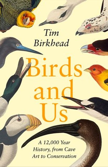 Birds and Us, Tim Birkhead - Ebook - 9780241990148