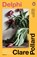 Delphi, Clare Pollard - Paperback - 9780241995266