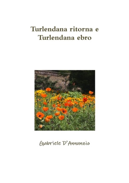 Turlendana ritorna e Turlendana ebro, Gabriele D'Annunzio - Paperback - 9780244327033