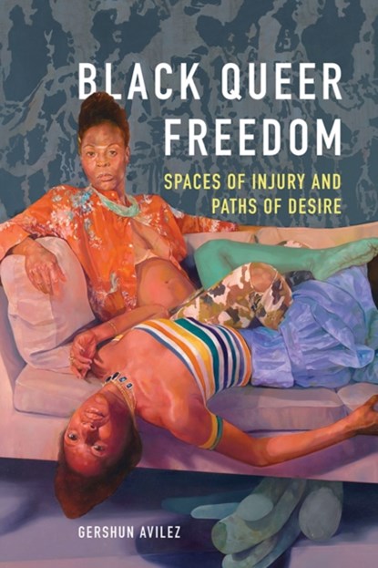 Black Queer Freedom, GerShun Avilez - Paperback - 9780252085284