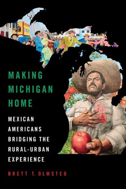 Making Michigan Home, Brett Olmsted - Paperback - 9780252089008