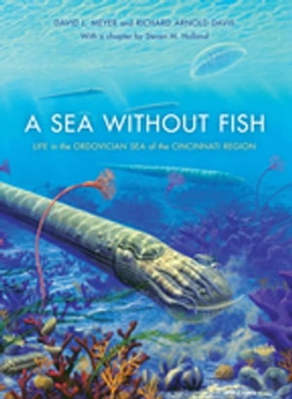 A Sea without Fish, David L. Meyer ; Richard Arnold Davis ; Steven M. Holland - Ebook - 9780253013491