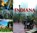 Indiana University, IU Press Journals - Paperback - 9780253014047
