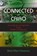 Connected in Cairo, Mark Allen Peterson - Paperback - 9780253223111