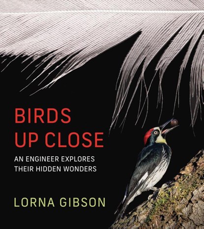 Birds Up Close, Lorna Gibson - Gebonden - 9780262049894