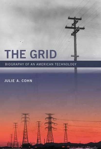 The Grid, Julie A Cohn - Ebook - 9780262343794