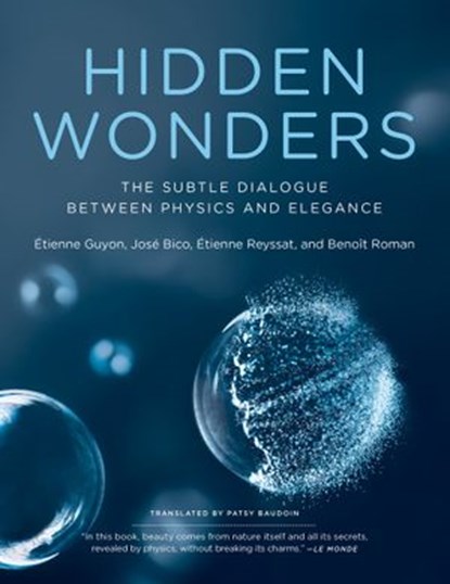 Hidden Wonders, Etienne Guyon ; Jose Bico ; Etienne Reyssat ; Benoit Roman - Ebook - 9780262363648