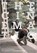 The Cinematic, David Campany - Paperback - 9780262532884