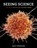 Seeing Science, Jack Challoner - Paperback - 9780262544351