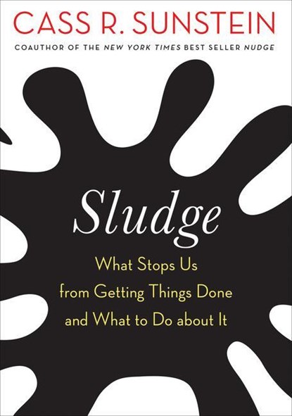 Sludge, Cass R. Sunstein - Paperback - 9780262545082