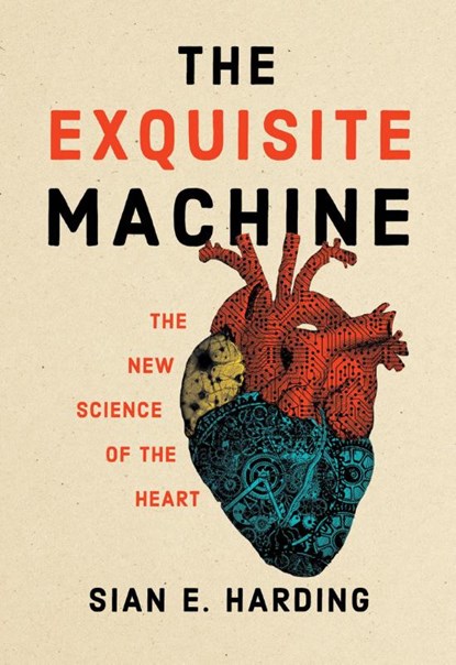 The Exquisite Machine, Sian E. Harding - Paperback - 9780262548410