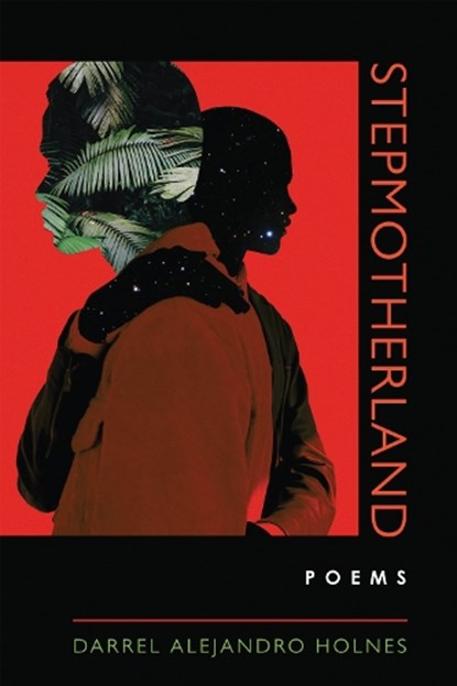 Stepmotherland, Darrel Alejandro Holnes - Paperback - 9780268202163
