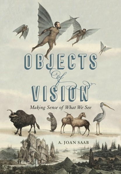 Objects of Vision, A. JOAN (SUSAN B. ANTHONY PROFESSOR,  University of Rochester) Saab - Paperback - 9780271088112
