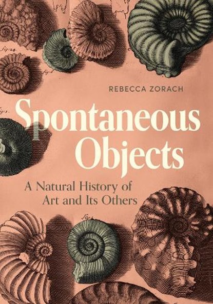 Spontaneous Objects, Rebecca (Northwestern University) Zorach - Gebonden - 9780271100432