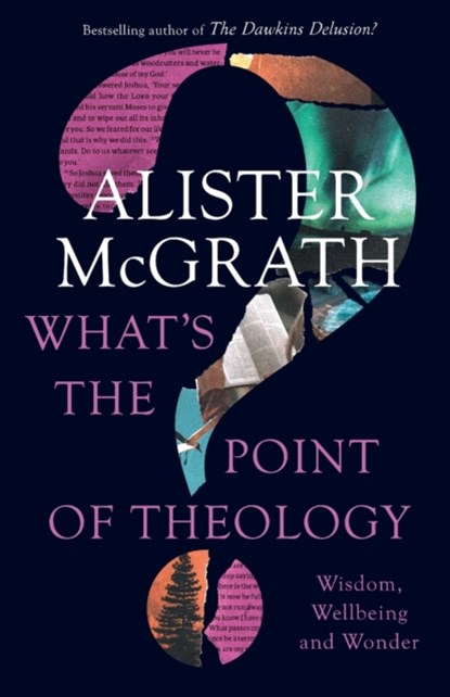 What's the Point of Theology?, ALISTER,  DPhil, DD McGrath - Paperback - 9780281086894