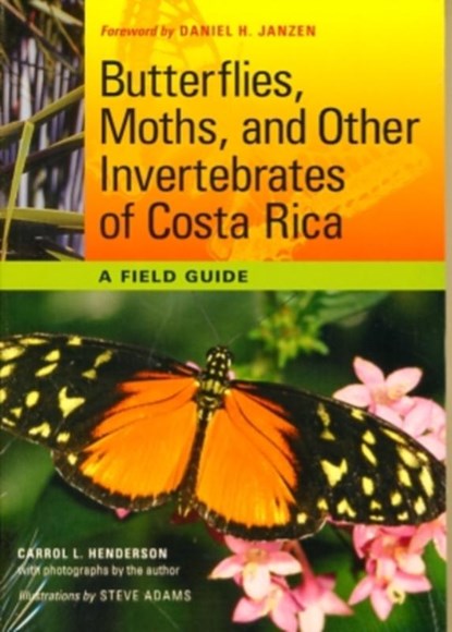 Butterflies, Moths, and Other Invertebrates of Costa Rica, Carrol L. Henderson - Paperback - 9780292719668