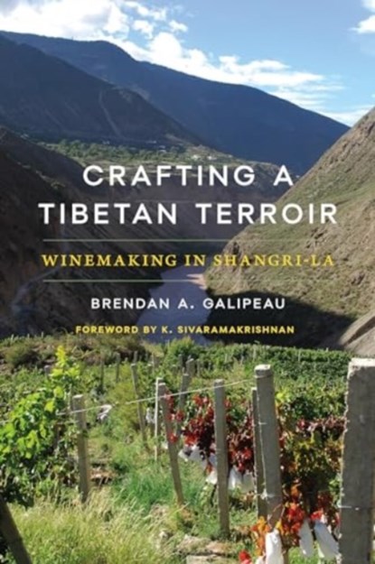 Crafting a Tibetan Terroir, Brendan A. Galipeau - Paperback - 9780295753362