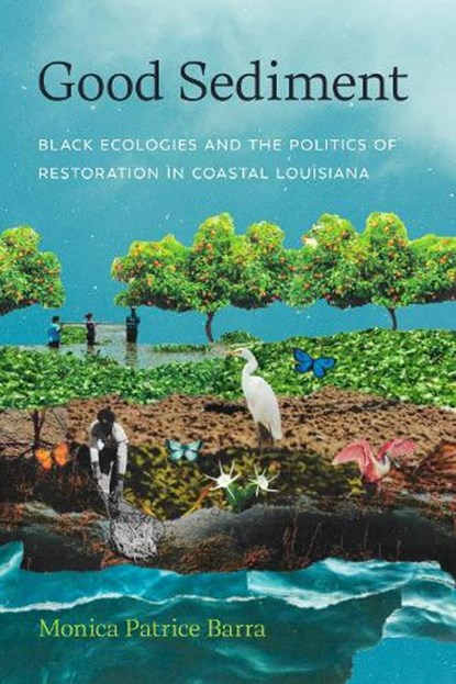 Good Sediment, Monica Patrice Barra - Paperback - 9780295754673