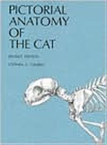 Pictorial Anatomy of the Cat, Stephen G. Gilbert - Paperback - 9780295954547