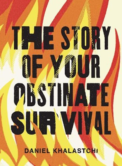 The Story of Your Obstinate Survival, Daniel Khalastchi - Paperback - 9780299348045