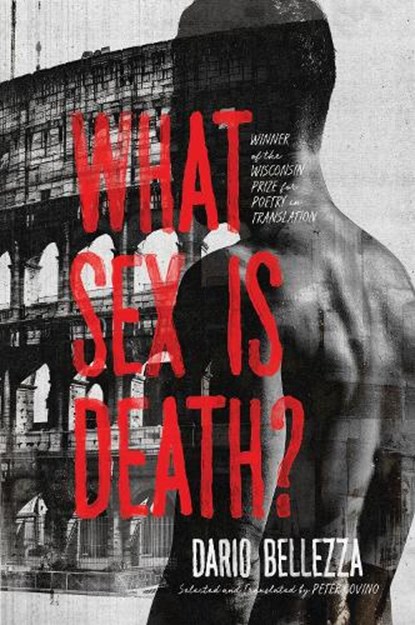 What Sex Is Death?, Dario Bellezza - Paperback - 9780299350345