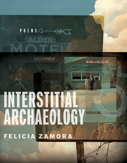 Interstitial Archaeology, Felicia Zamora - Paperback - 9780299353445