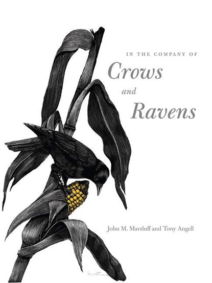 In the Company of Crows and Ravens, John M. Marzluff ; Tony Angell - Paperback - 9780300122558