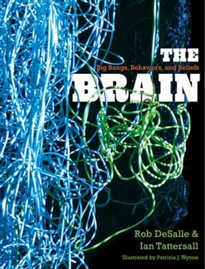 The Brain, Rob DeSalle ; Ian Tattersall - Ebook - 9780300183566