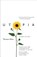 Utopia, Saint Thomas More - Paperback - 9780300186109