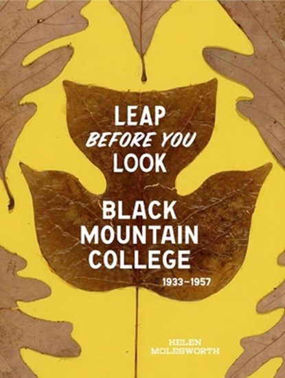 Leap Before You Look, Helen Molesworth - Gebonden - 9780300211917